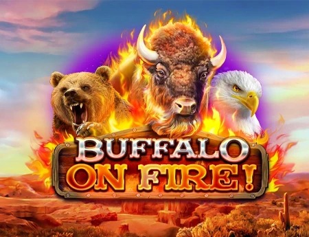 Buffalo on fire!