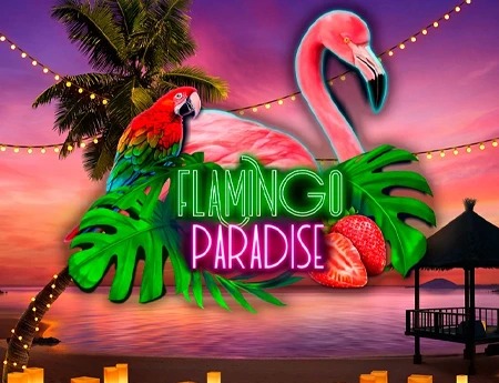 Flamingo Paradise