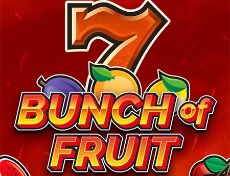 Bunch of Fruit