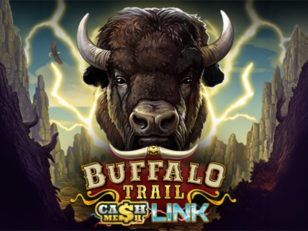 Buffalo Trail – Cash Mesh LINK