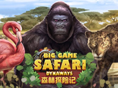 Big Game Safari