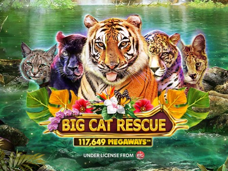 Big Cat Rescue Megaways