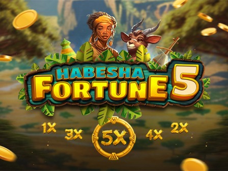 Habesha Fortune 5